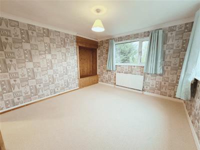 Picture 27